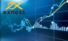 Understanding the Exness Standard A Comprehensive Guide