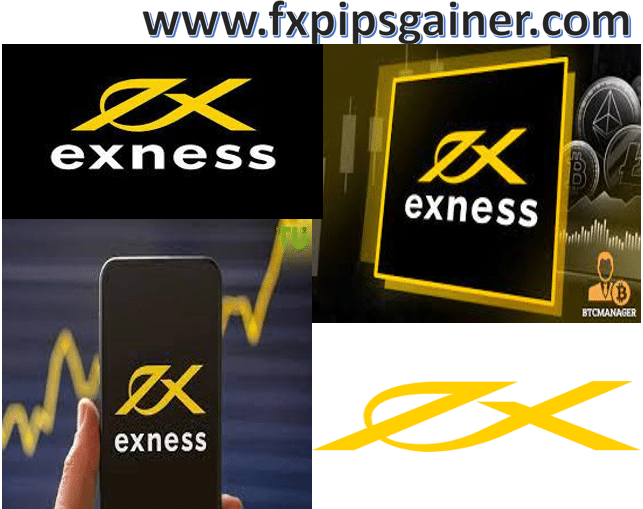 Understanding the Exness Standard A Comprehensive Guide